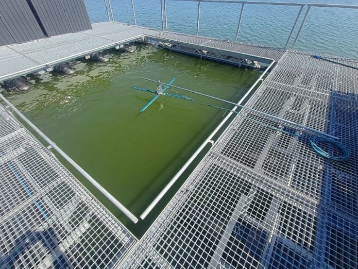 Aeration system